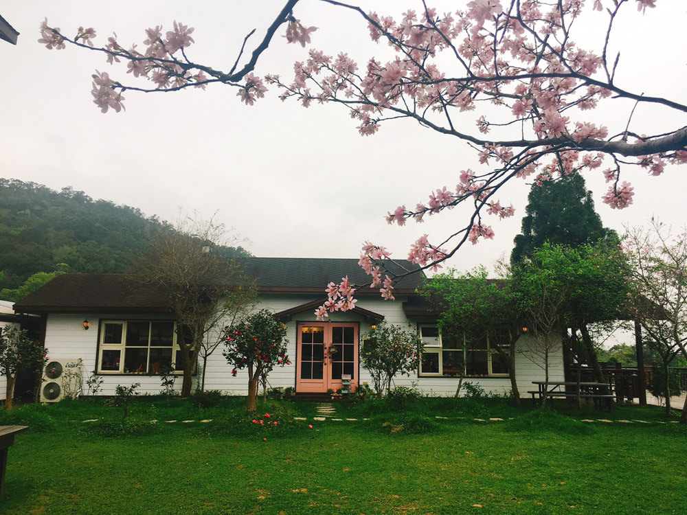 新埔普羅旺斯小木屋餐廳，超夢幻的雨滴蛋糕和草莓飲品，新竹賞櫻景點推薦！