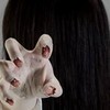 怖い話したい人あつまれ〜