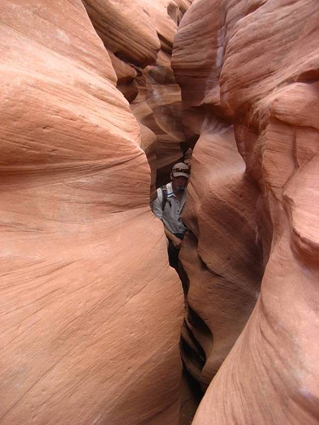 15 Gambar yang Bakal Bikin Pengidap Claustrophobia Merinding!