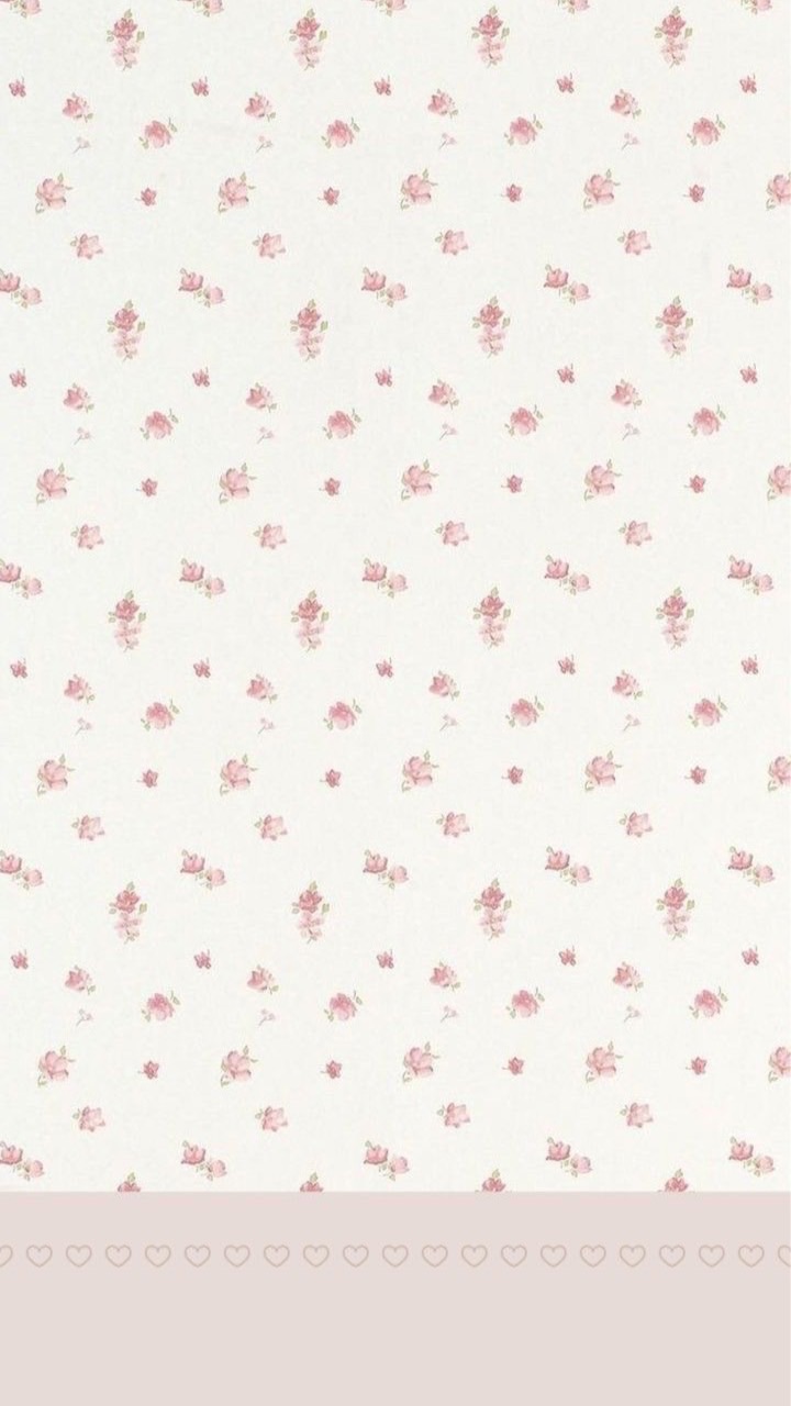 ۫  𓈒🎀❥･ตัวแทน b3llcutiegel  ۫  𓈒✰🫓