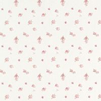 ۫  𓈒🎀❥･ตัวแทน b3llcutiegel  ۫  𓈒✰🫓