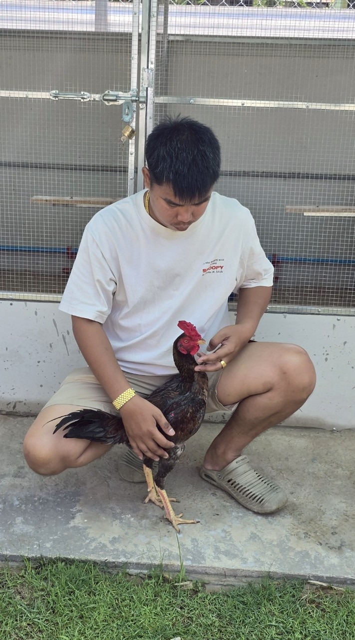 กลุ่ม.ณัฐพลฟาร์ม