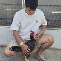 กลุ่ม.ณัฐพลฟาร์ม