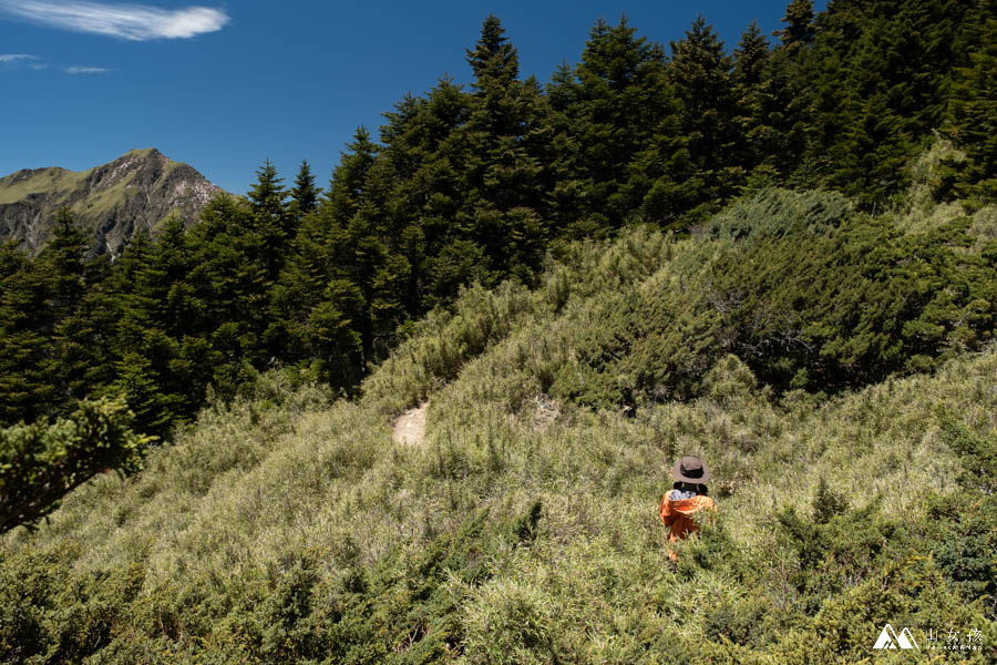 山女孩MelissaxMao冒險生活_奇萊主北_奇萊北峰主峰三天兩夜登山紀錄-131.jpg