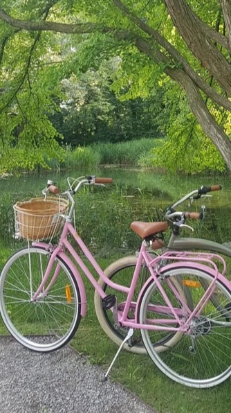 𝗳 𝗽𝗵𝗼𝘁𝗼 𝗺𝗲𝗿𝗹𝘆 🌸🩷