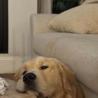 โพไซอาโอวี