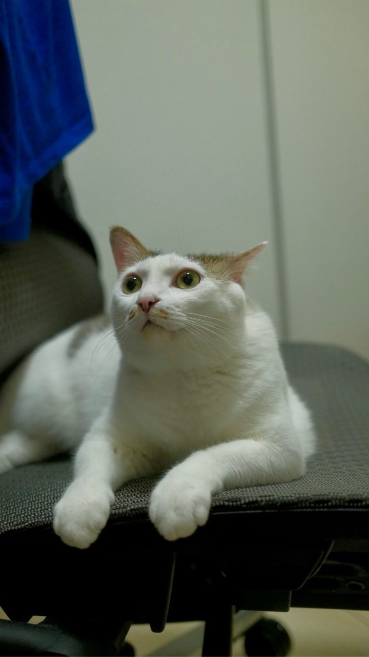 test
