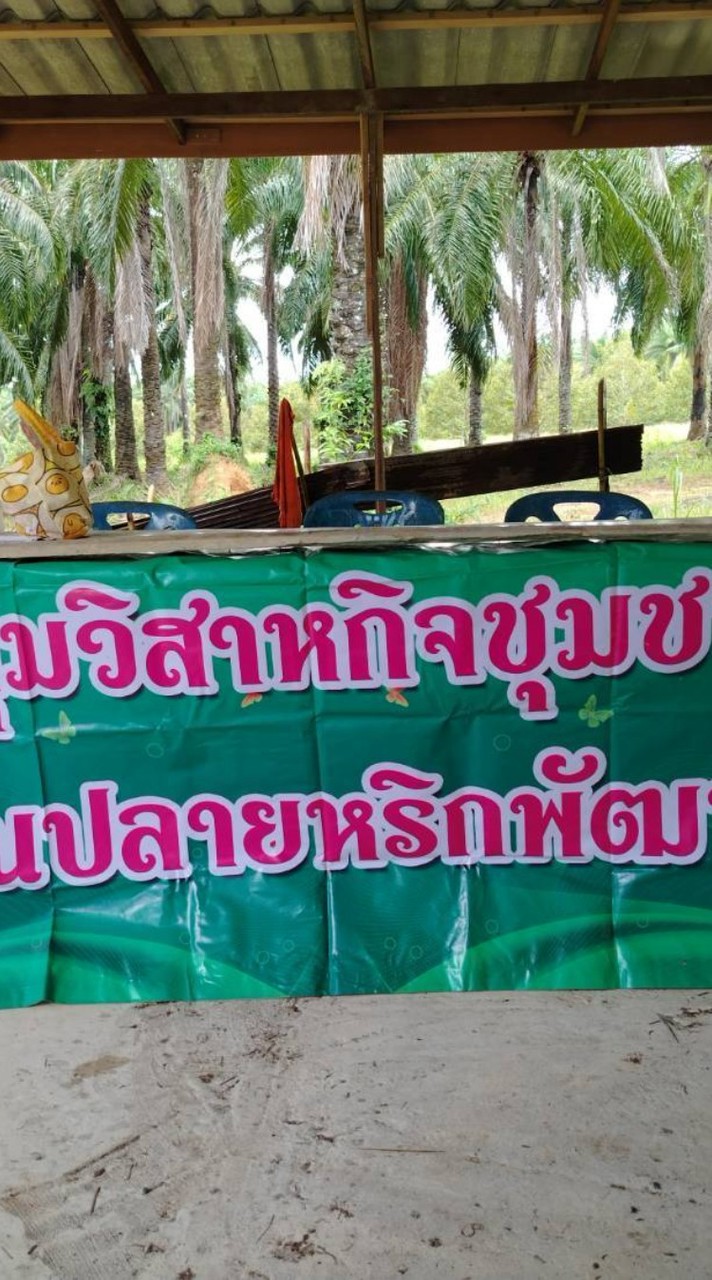 กลุ่ทสำคัญ..วิสาหกิจชุมชนบ้านปลายหริกพัฒนา กลุ่มปิด