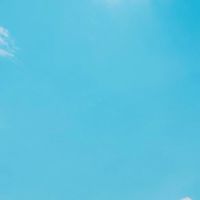 子連れ旅のリアル