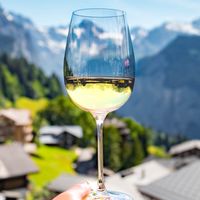 葡萄酒新手村