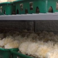 酸回家X美安店主群_給家人的愛