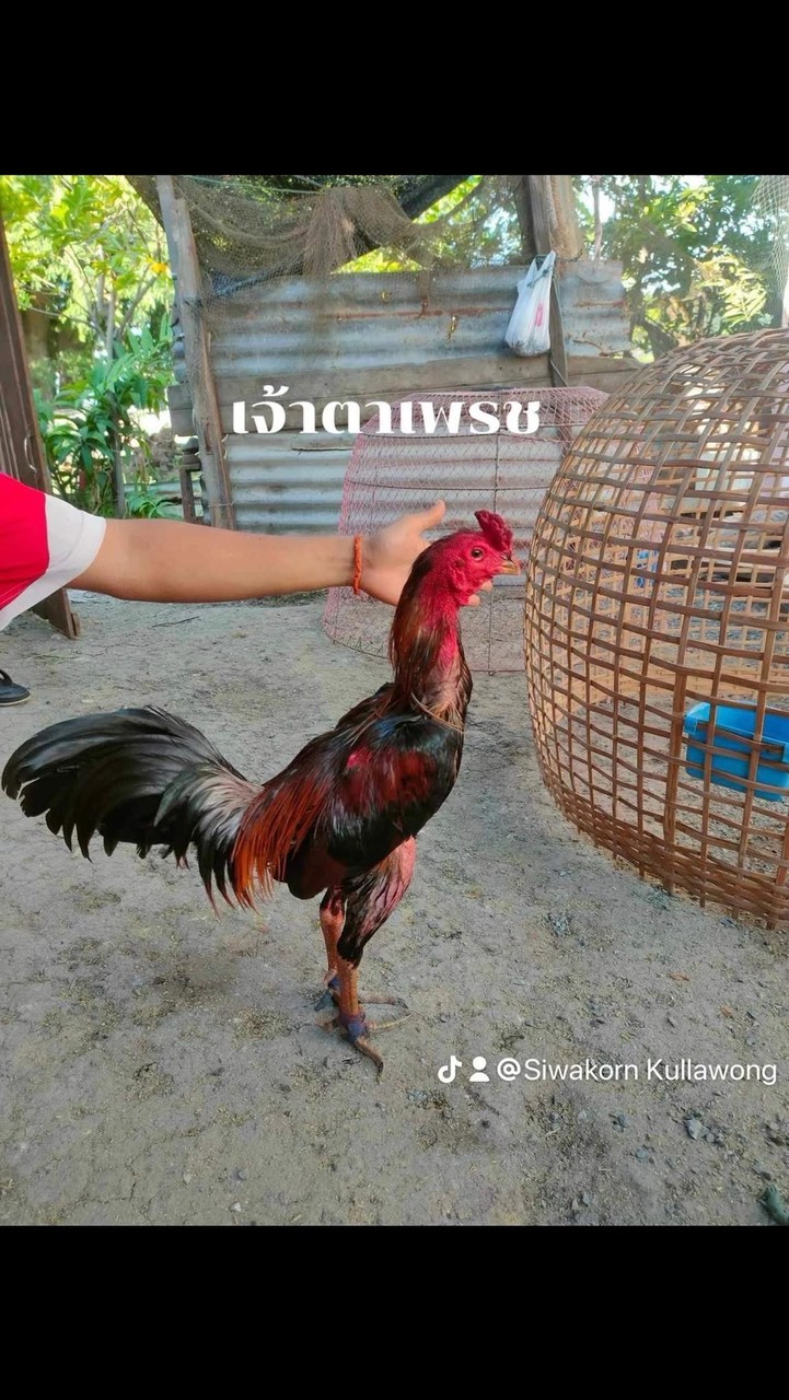 โกดังปุ๋ย