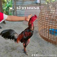 โกดังปุ๋ย