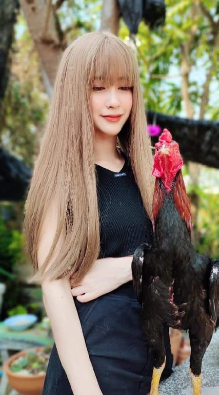 อัญมณีมีปีก