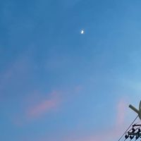 繪圖交流社[歡迎社恐、潛水]
