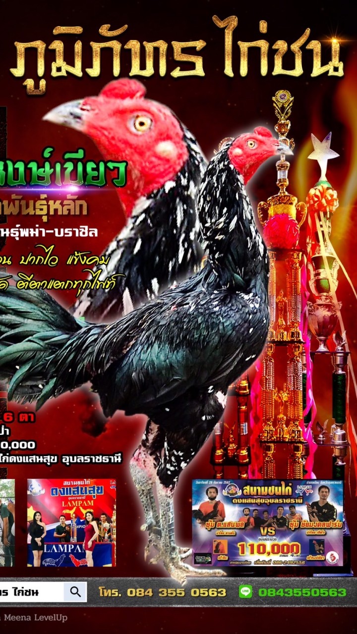 ภูมิภัทร. ไก่ชน