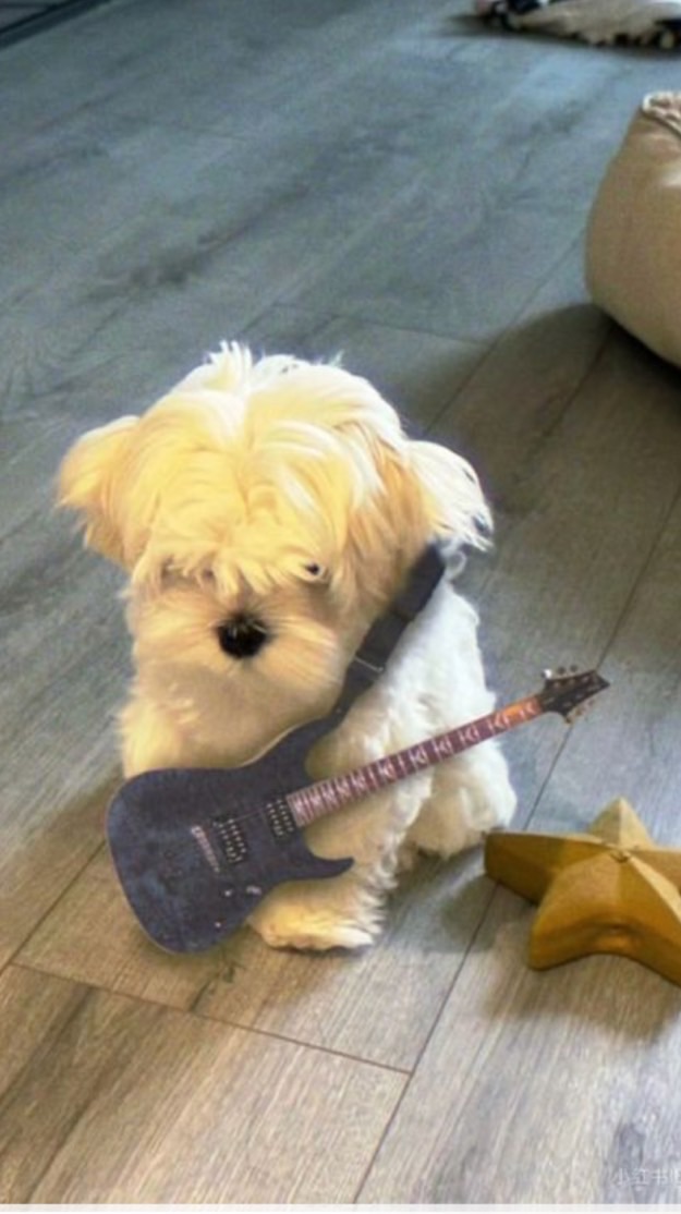 ☁️คุยเล่นคนไม่นอน / หาเพื่อน / หาแฟน / คนขี้เหงา 💤