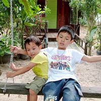 ต้นกล้าต้นกัลปพฤกษ์