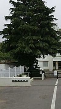 むかいっこ会