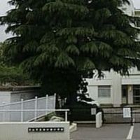 むかいっこ会