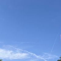 要不要去野餐