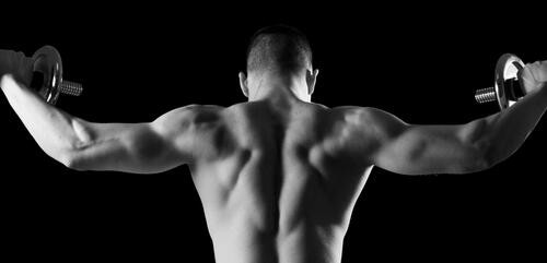 たくましい背中に欠かせない 脊柱起立筋 の効果的筋トレ法