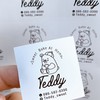 Teddy_Sweet Bake at Home