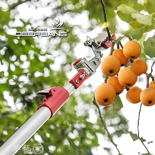 新店上新哦,全館滿299起免運 有任何商品問題可以聯繫客服