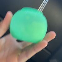 庭を成長させる2！100人行ったら配布！