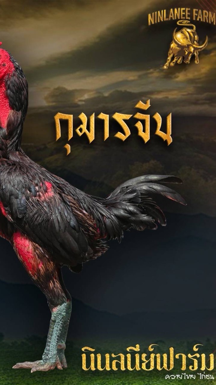 ฝากผสมนินลนีย์ฟาร์ม