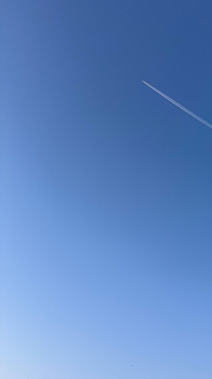 ゆっくり同盟