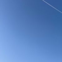 ゆっくり同盟