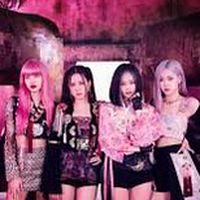 Blackpink 粉絲群和八卦群