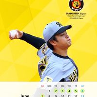 阪神タイガースファン集まれ