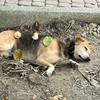 台東大學 生命科學系