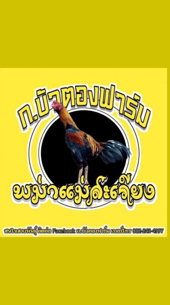 ก.บัวตองฟาร์ม พม่าแม่สะเรียง