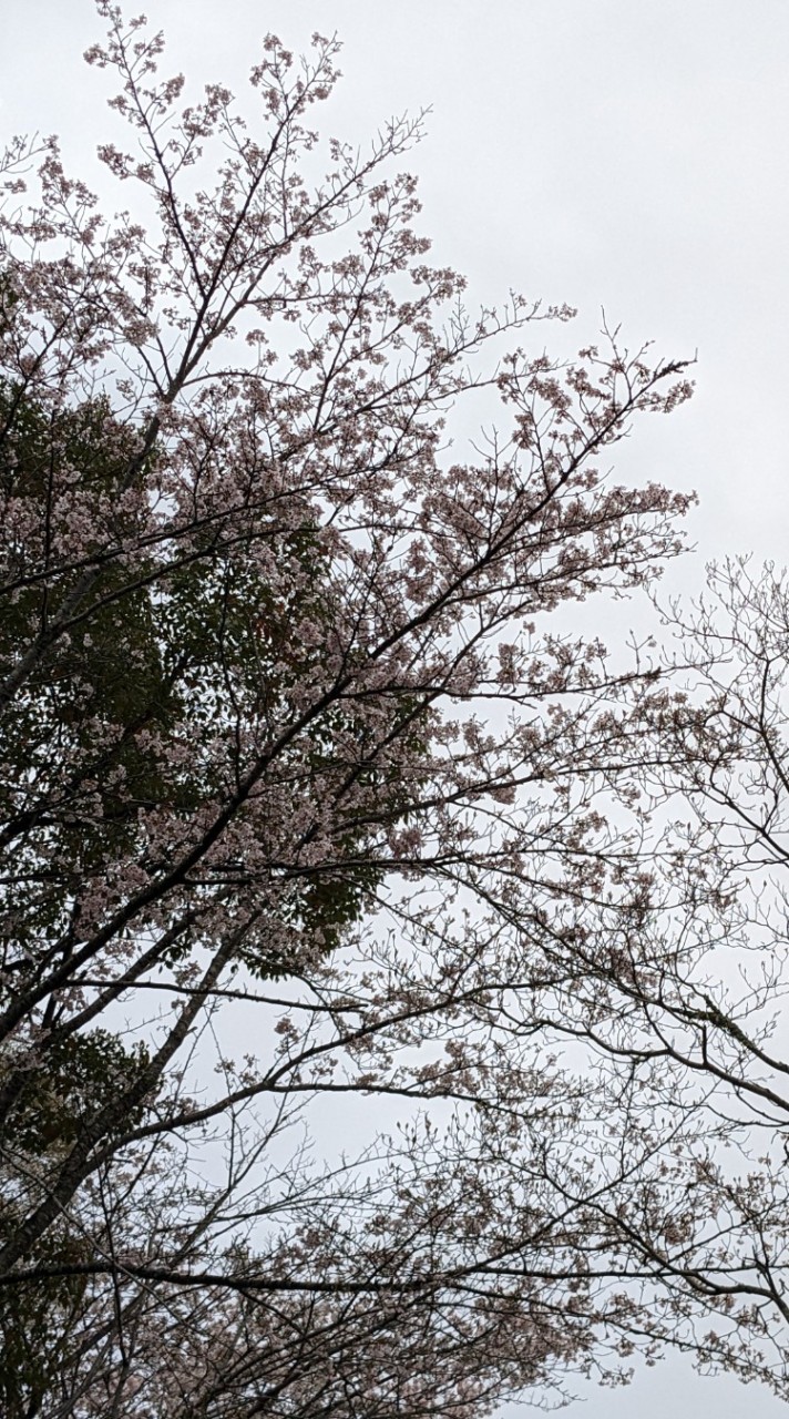 高校生の人あつまれえぇえぇ!!