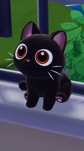 心動小鎮的米蟲🐾