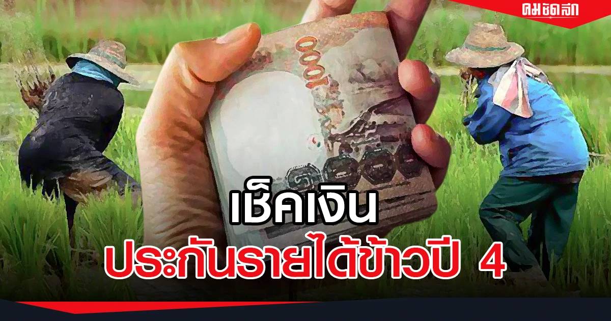 เช็คประกันราคาข้าว 65/66" เงินเยียวยาไร่ละ 1,000 ธ.ก.ส. จ่ายงวดแรกวันไหน | คมชัดลึกออนไลน์ | LINE TODAY