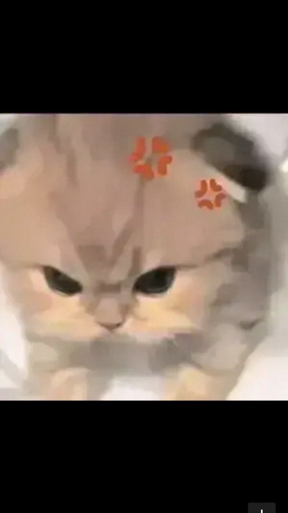 อายุไม่เกี่ยวใส่เดี่ยวได้หมด