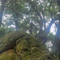 山野戶外／小遊俠大家庭