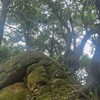 山野戶外／小遊俠大家庭