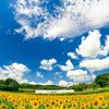 🔴関東在住☆大人のお友達作り メイン部屋 30代　40代　50代　東京　神奈川県　埼玉　千葉　茨城