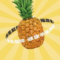 🍍鳳梨屋底家啦🍍