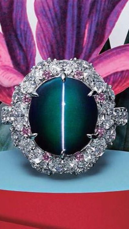 8 / 代理諮詢群/ 泰熙爾