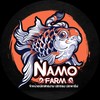 Namo Farm Goldfish ปลาทอง ปลาคาร์ฟ จัดส่งถึงหน้าบ้าน🎉