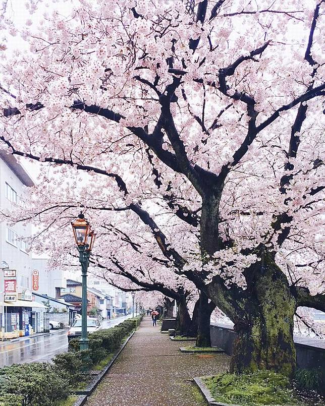 Foto Foto Pemandangan Di Jepang Yang Terlihat Seperti Di