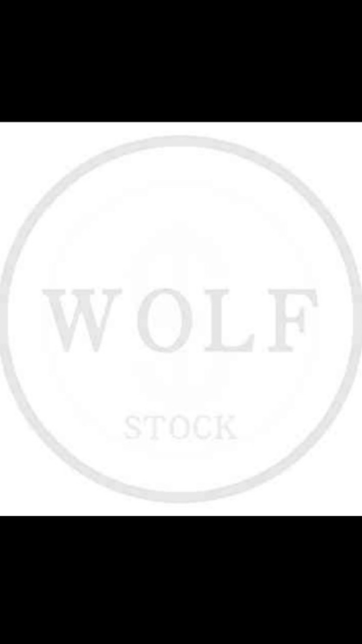 Wolfstreet台股鎮守隊