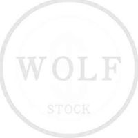 Wolfstreet台股鎮守隊