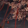 歌に溺れろ‼️‼️